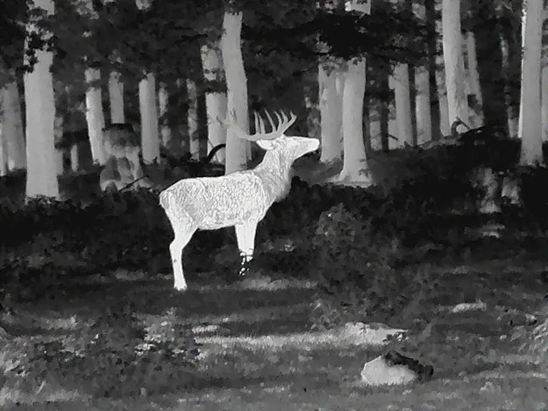 Leica Calonox 2 View