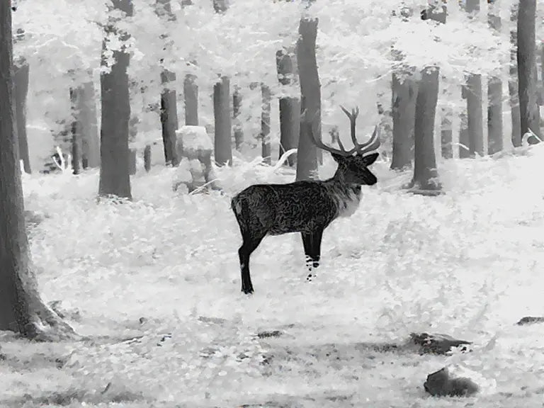 Leica Calonox 2 View