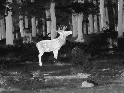 Leica Calonox 2 View